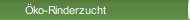 Öko-Rinderzucht