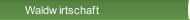 Waldwirtschaft